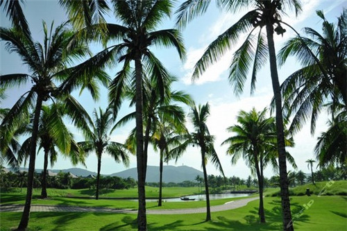 柴火石锅鱼火锅