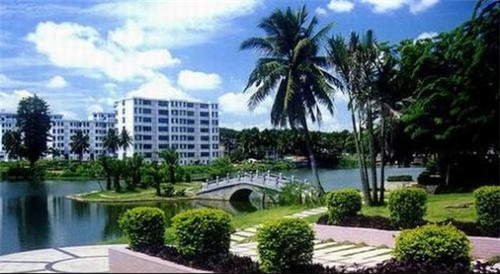 黑眼熊 BLACK-EYED BEAR寿司