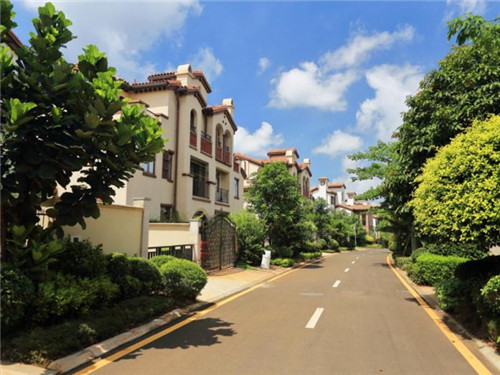 冬笋炒好吃还是煮好吃（冬笋直接炒）