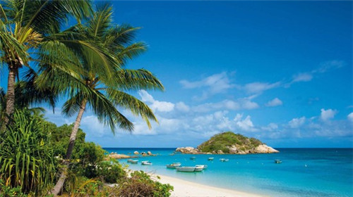 为什么散户成了十大股东（为什么大部分散户在股票中不赚钱）