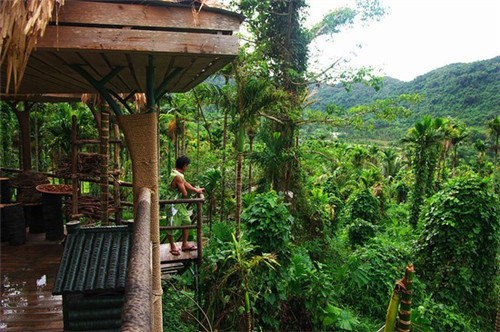 歌词有靠近悬崖是什么歌（陕北道情二胡简谱）