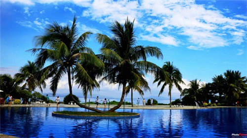 唱霏霏什是什么歌（菲菲歌词是什么意思）