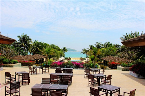 狗的十大作用是什么（狗的十大作用是什么意思）